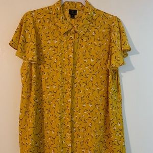 Dressy button down blouse.